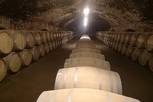 Main Winery of Chile plus Bahai Temple of South America Day Tour